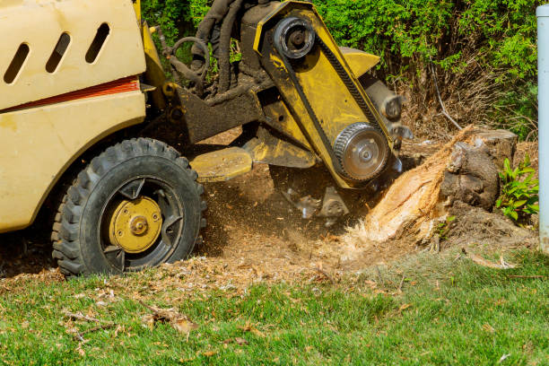 Best Utility Line Clearance  in Maine, WI